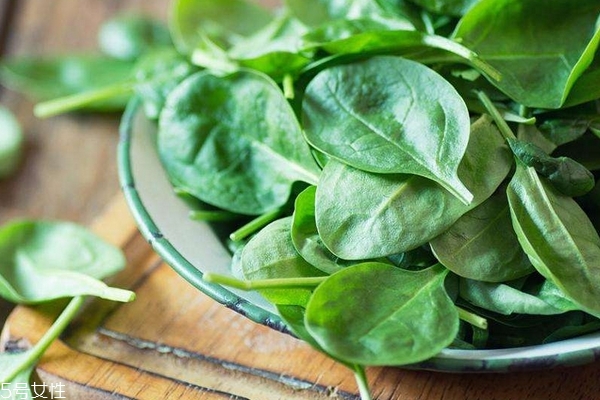 菠菜怎么種 這樣種才對 菠菜怎么種 這樣種才對