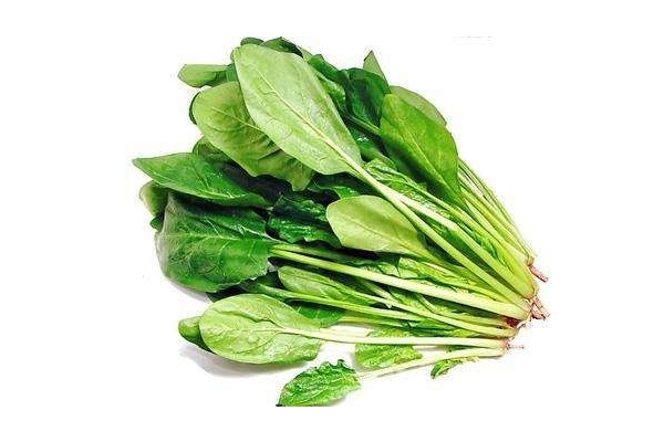 菠菜會(huì)過敏嗎 有這個(gè)可能