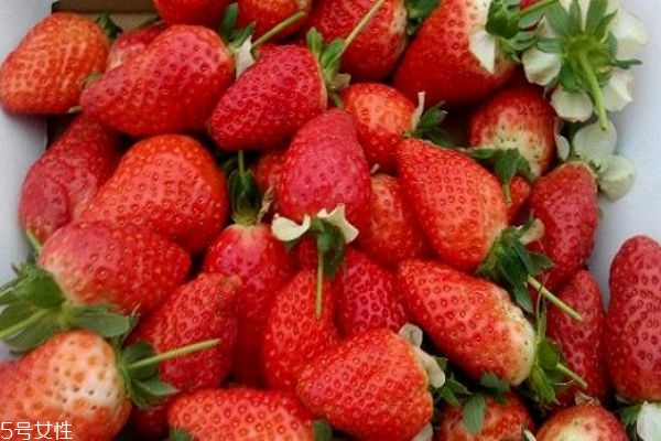 怎么辨別打激素的草莓 吃草莓的注意事項(xiàng) 怎么辨別打激素的草莓 吃草莓的注意事項(xiàng)