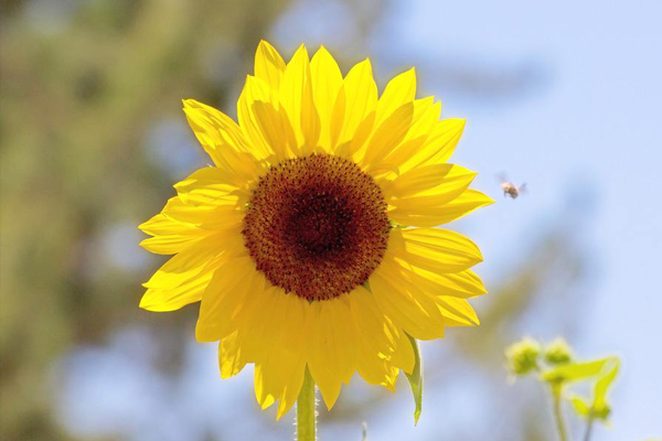 憂郁癥什么征兆 10個(gè)日常習(xí)慣自測(cè)一下