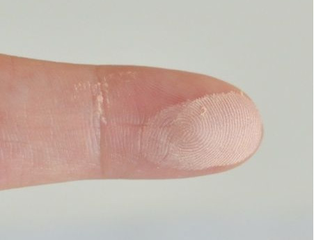 canmake棉花糖粉餅色號有幾種？canmake棉花糖粉餅ml mo對比