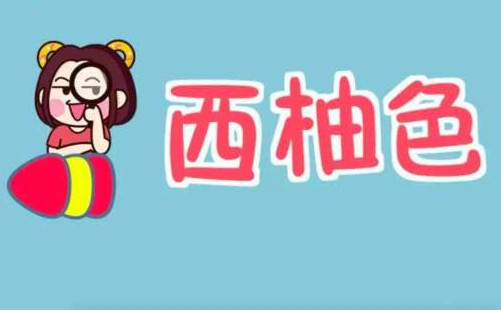 豆沙色和西柚色的區(qū)別 豆沙色和西柚色哪個好看？
