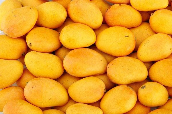 芒果捏軟了還能吃嗎 時(shí)間一長(zhǎng)就會(huì)發(fā)爛