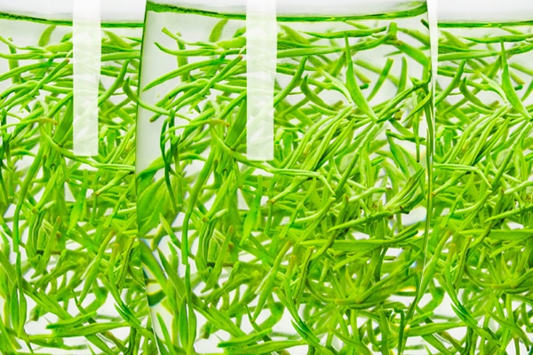 綠茶可以減肥嗎 有這個(gè)說(shuō)法