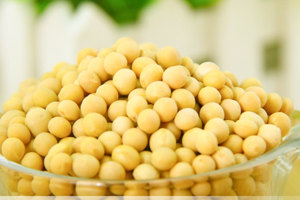 豆?jié){可以晚上喝嗎 睡前兩小時(shí)別喝