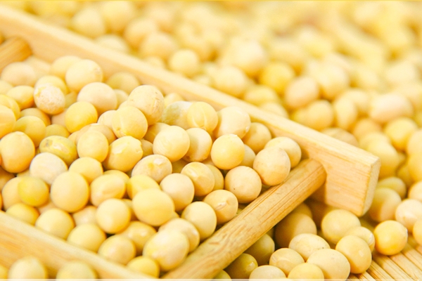 豆?jié){會(huì)不會(huì)上火 不用擔(dān)心這個(gè)問(wèn)題 豆?jié){會(huì)不會(huì)上火 不用擔(dān)心這個(gè)問(wèn)題