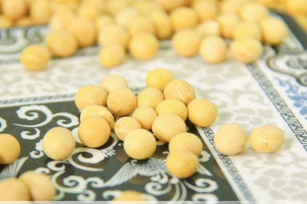 豆?jié){會(huì)不會(huì)上火 不用擔(dān)心這個(gè)問(wèn)題 豆?jié){會(huì)不會(huì)上火 不用擔(dān)心這個(gè)問(wèn)題