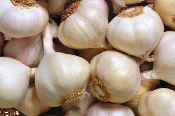 大蒜發(fā)霉了還可以吃嗎 大蒜怎么保存不發(fā)霉 大蒜發(fā)霉了還可以吃嗎 大蒜怎么保存不發(fā)霉