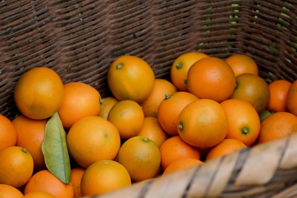 金桔吃了會脹氣嗎 不會導(dǎo)致脹氣