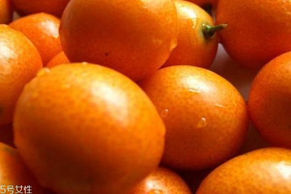 金桔可以泡水喝嗎 金桔泡水要注意 金桔可以泡水喝嗎 金桔泡水要注意