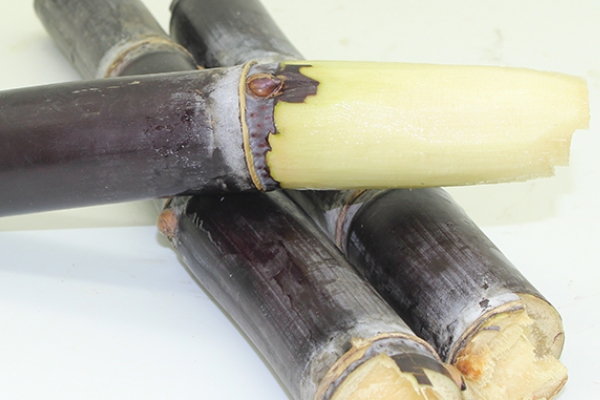 甘蔗哪個(gè)部位最甜 當(dāng)然是這里了