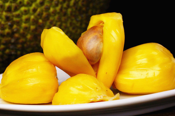 菠蘿蜜聞起來什么味道 菠蘿蜜聞起來香嗎 菠蘿蜜聞起來什么味道 菠蘿蜜聞起來香嗎