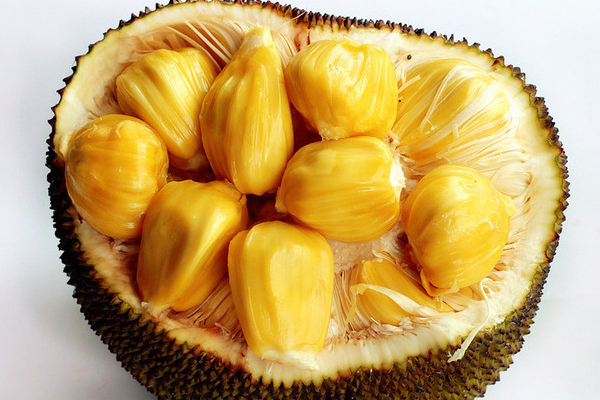 菠蘿蜜聞起來什么味道 菠蘿蜜聞起來香嗎 菠蘿蜜聞起來什么味道 菠蘿蜜聞起來香嗎