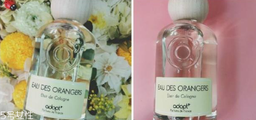 柑橘調香水有哪些 柑橘調香水推薦