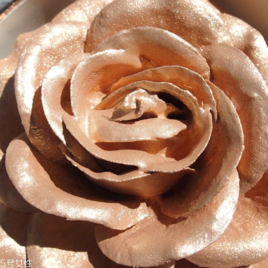 蘭蔻圣誕限量玫瑰高光是什么顏色 蘭蔻2018圣誕玫瑰高光 蘭蔻圣誕限量玫瑰高光是什么顏色 蘭蔻2018圣誕玫瑰高光