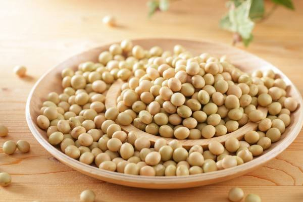 黃豆怎么挑選 黃豆選購(gòu)注意事項(xiàng) 黃豆怎么挑選 黃豆選購(gòu)注意事項(xiàng)