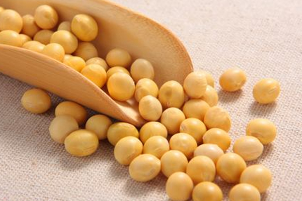 黃豆怎么挑選 黃豆選購(gòu)注意事項(xiàng) 黃豆怎么挑選 黃豆選購(gòu)注意事項(xiàng)