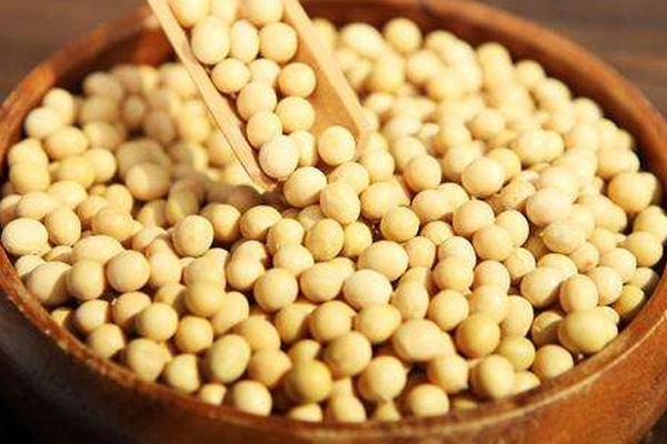 黃豆怎么挑選 黃豆選購(gòu)注意事項(xiàng) 黃豆怎么挑選 黃豆選購(gòu)注意事項(xiàng)
