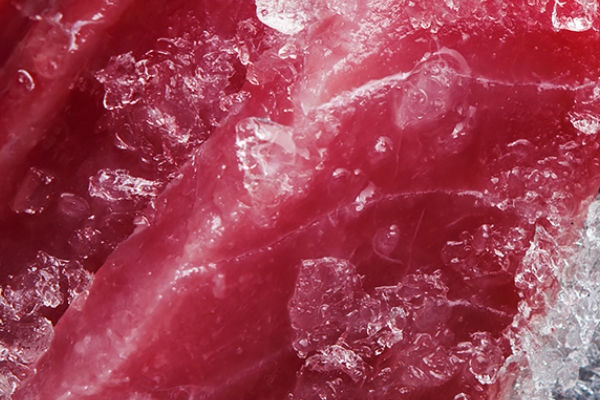 金槍魚(yú)是發(fā)物嗎 屬于發(fā)物 金槍魚(yú)是發(fā)物嗎 屬于發(fā)物