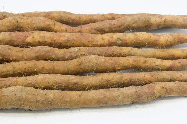 哪種山藥適合燉湯 細(xì)長的鐵棍山藥