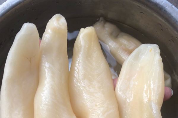 魚(yú)膠小孩可以吃嗎 適量吃可以