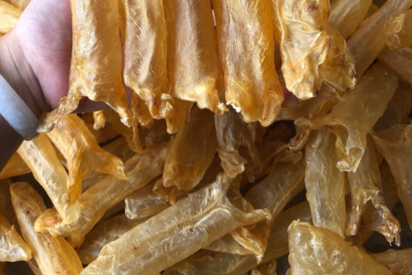 魚膠能和銀耳一起燉嗎 當然是可以的