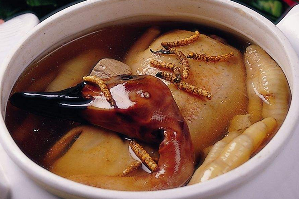 冬蟲(chóng)夏草怎么看好壞 冬蟲(chóng)夏草好壞區(qū)別 冬蟲(chóng)夏草怎么看好壞 冬蟲(chóng)夏草好壞區(qū)別