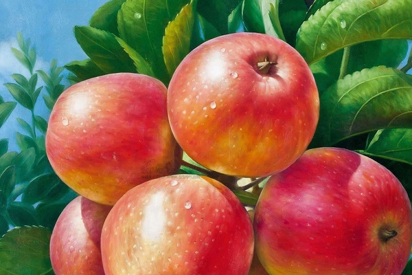 冬季我們應該吃些什么樣的水果才好