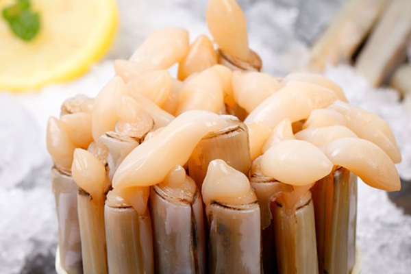 蟶子有淡水的嗎 有淡水養(yǎng)殖的 蟶子有淡水的嗎 有淡水養(yǎng)殖的