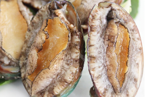 鮑魚為什么沒(méi)有眼睛 其實(shí)是有的 鮑魚為什么沒(méi)有眼睛 其實(shí)是有的