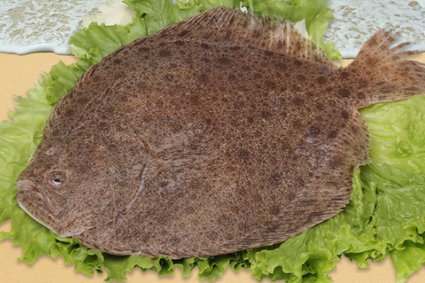 多寶魚(yú)怎么處理 按照這個(gè)方法準(zhǔn)沒(méi)錯(cuò)