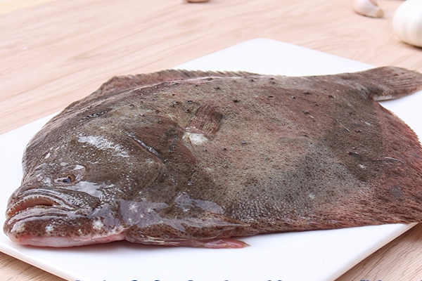 多寶魚白色的正常嗎 本來就有一面是白色 多寶魚白色的正常嗎 本來就有一面是白色