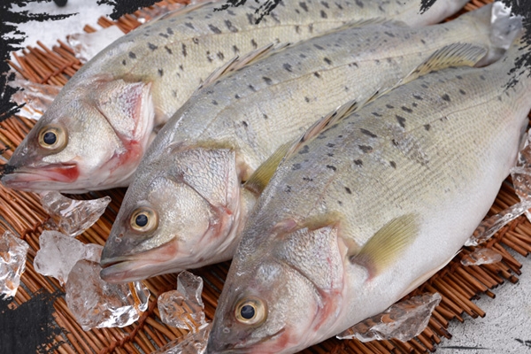 海鱸魚(yú)怎么去鱗 教你兩個(gè)方法