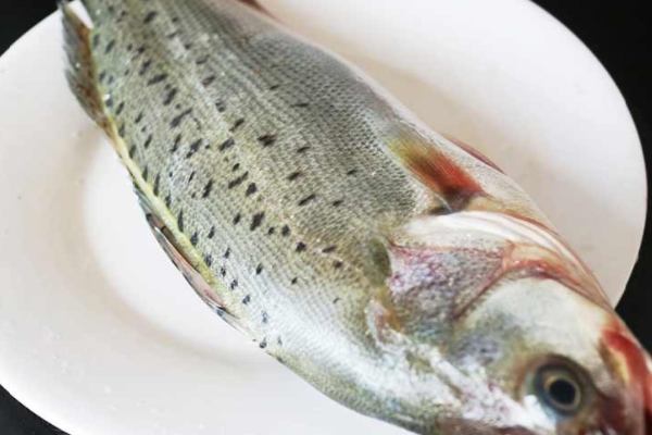 海鱸魚怎么去內(nèi)臟 方法很簡單 海鱸魚怎么去內(nèi)臟 方法很簡單