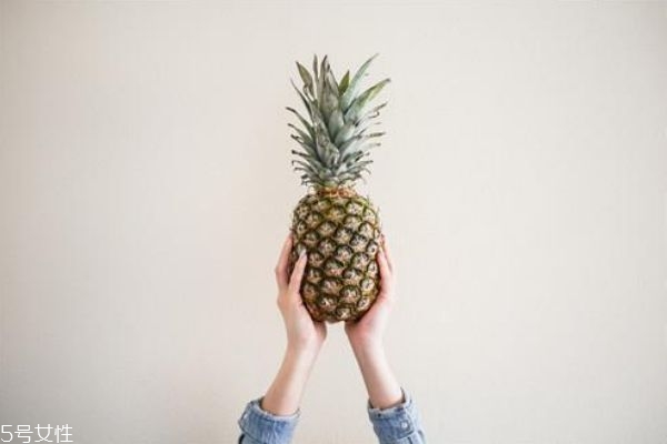 菠蘿是長(zhǎng)在樹(shù)上還是地上 菠蘿是熱性還是涼性