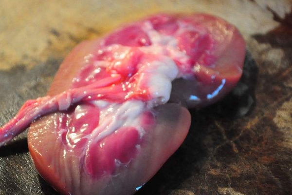 豬腰子可以涮火鍋嗎 需要經(jīng)過(guò)腌制