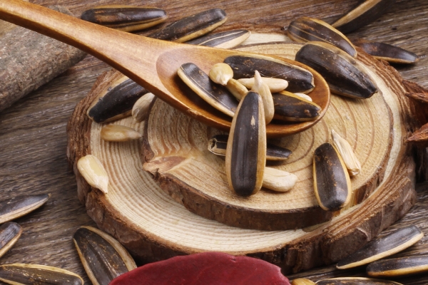 葵花籽有毒嗎 看你怎么想 葵花籽有毒嗎 看你怎么想