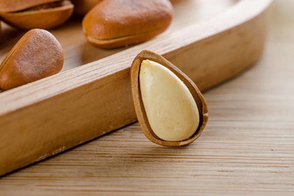 松子為什么不能多吃 吃多了有害無益 松子為什么不能多吃 吃多了有害無益