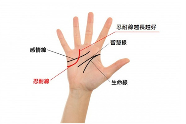 2019年手相看運(yùn)勢(shì) 盤點(diǎn)強(qiáng)勢(shì)三手相