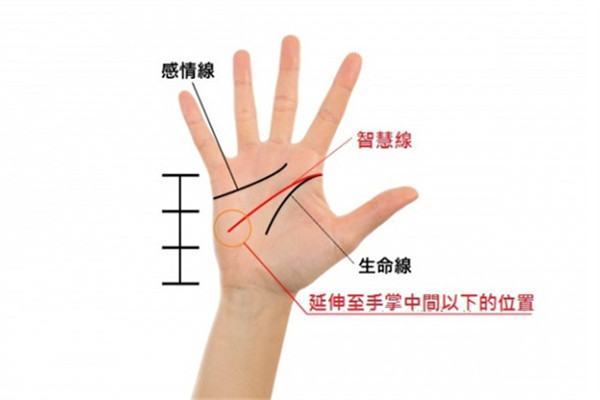 2019年手相看運(yùn)勢(shì) 盤點(diǎn)強(qiáng)勢(shì)三手相