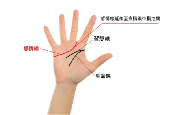 2019年手相看運(yùn)勢(shì) 盤點(diǎn)強(qiáng)勢(shì)三手相