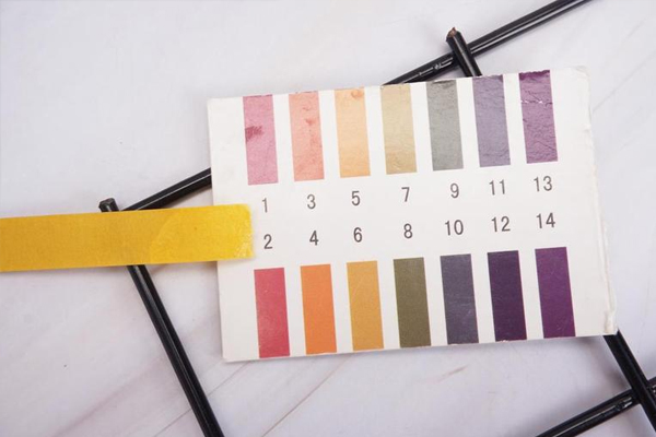 芭蘭珂身體乳好用嗎 改善粗糙皮強(qiáng)烈推薦 芭蘭珂身體乳好用嗎 改善粗糙皮強(qiáng)烈推薦