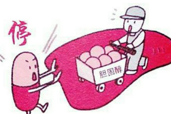 膽固醇偏高的人飲食要注意不然有危險(xiǎn) 膽固醇偏高的人飲食要注意不然有危險(xiǎn)