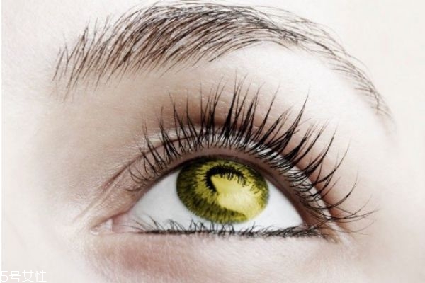 睫毛增長液什么時候使用效果最好 堅(jiān)持使用最好 睫毛增長液什么時候使用效果最好 堅(jiān)持使用最好