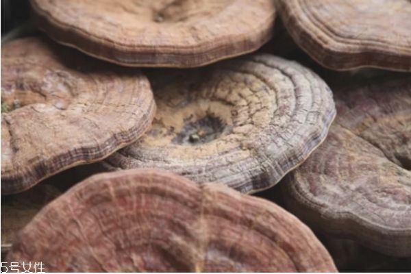 靈芝怎么吃效果最好 吃靈芝的功效 靈芝怎么吃效果最好 吃靈芝的功效