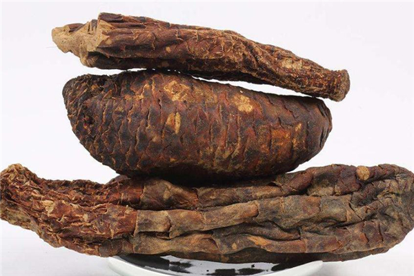 肉蓯蓉糖尿病人可以吃嗎 會產(chǎn)生不適