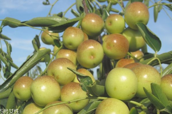 吃什么水果能美白全身 可以美白的食物 吃什么水果能美白全身 可以美白的食物