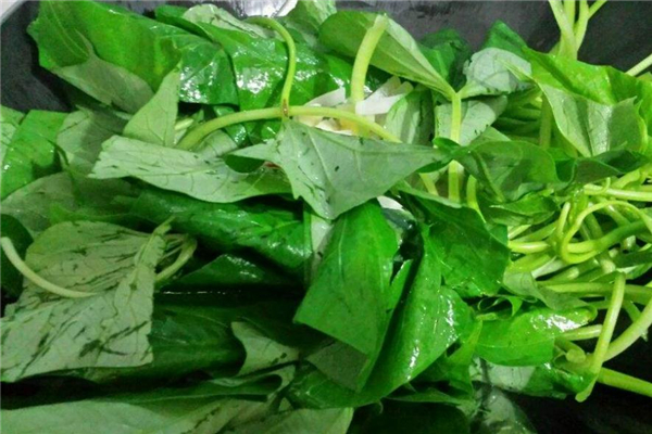 紅薯葉是發(fā)物嗎 不是這個(gè)類別 紅薯葉是發(fā)物嗎 不是這個(gè)類別