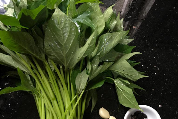 紅薯葉是發(fā)物嗎 不是這個(gè)類別 紅薯葉是發(fā)物嗎 不是這個(gè)類別