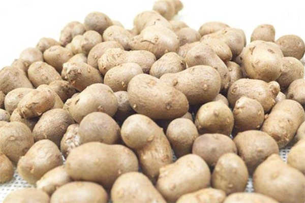 山藥豆可以放冰箱嗎 沒(méi)這個(gè)必要